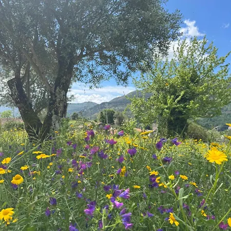 Casa vacanze Chez Daniela