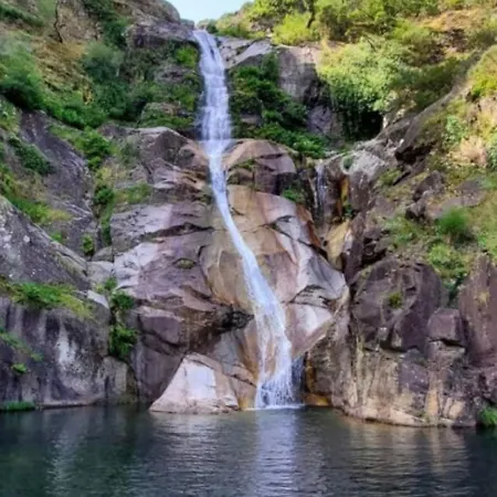 Chez Daniela * Cerva