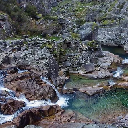 Chez Daniela * Cerva