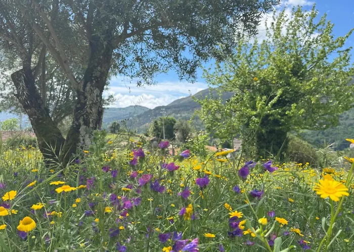 Vakantiehuis Chez Daniela