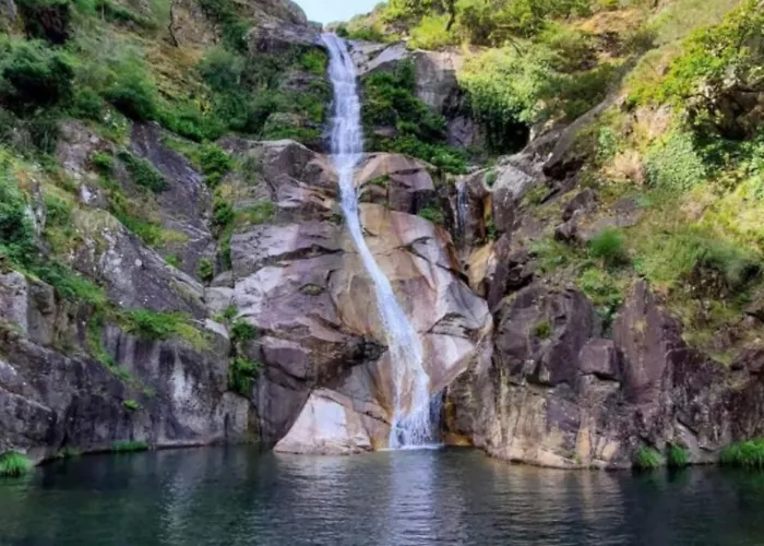 Chez Daniela * Cerva