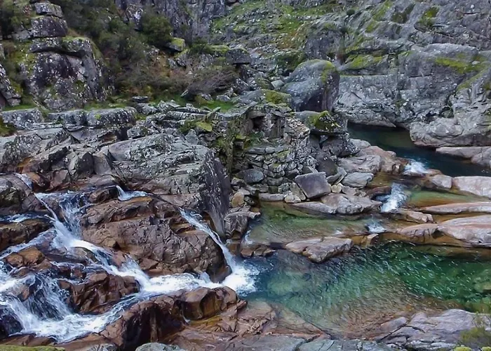 Chez Daniela * Cerva